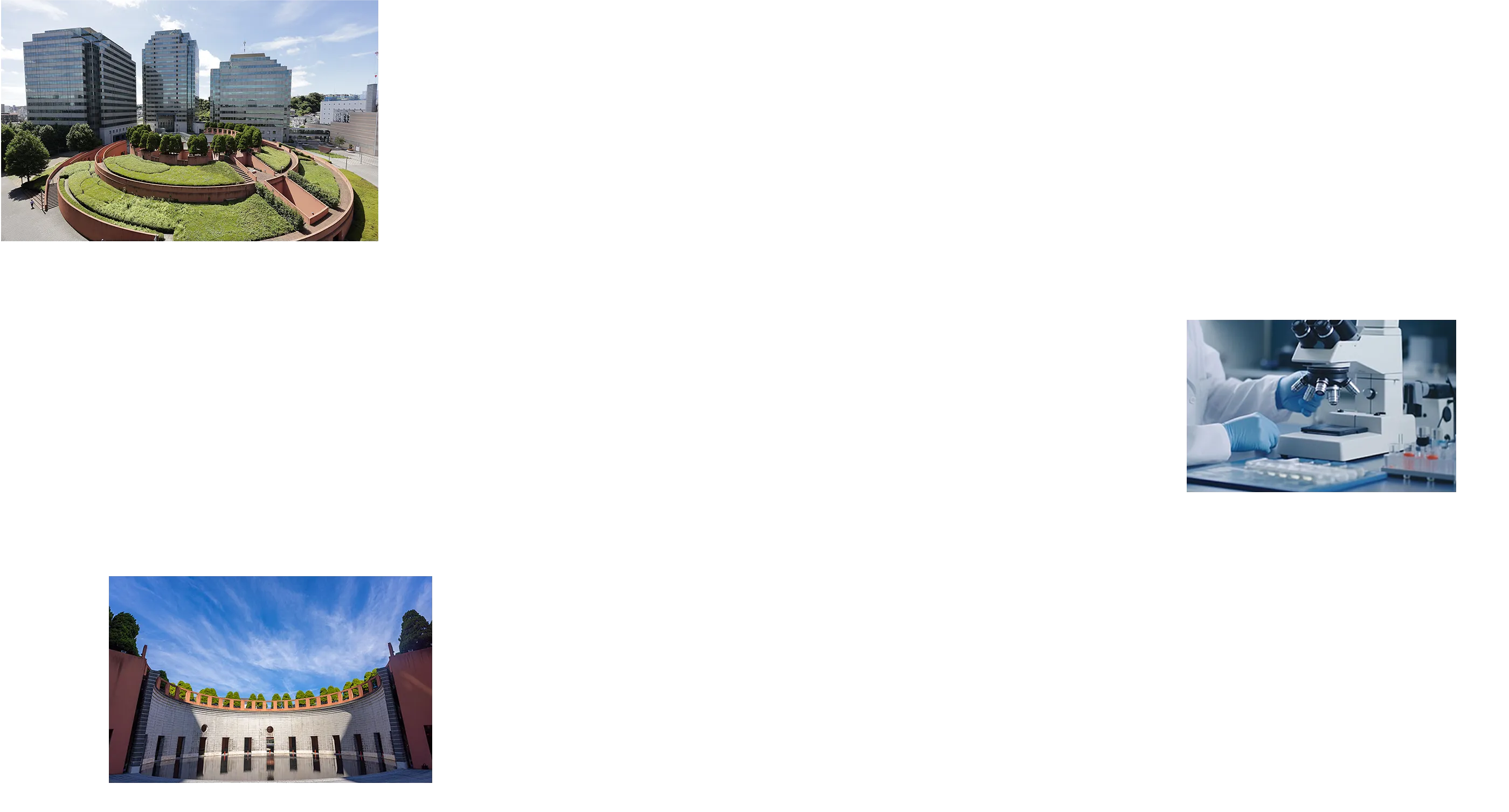 ベリーニの丘 image photo 水のホール